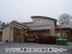 スウェーデンの医療福祉 ースウェーデンに学ぶ！人に優しいIT化ー